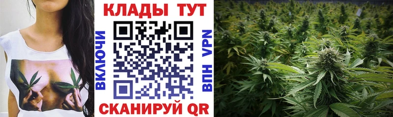 Где можно купить наркотики Курчалой АМФЕТАМИН COCAIN ГАШ Меф мяу мяу Канабис