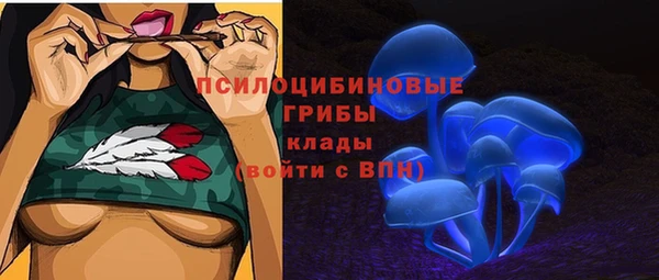герыч Алексин