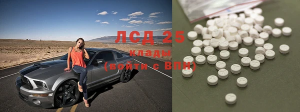 крисы Алзамай