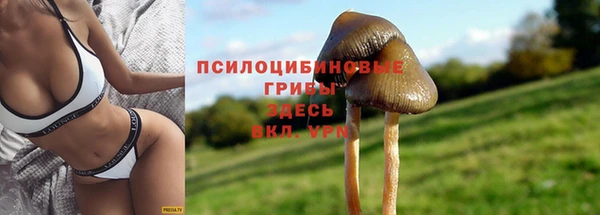 эйфоретик Алексеевка