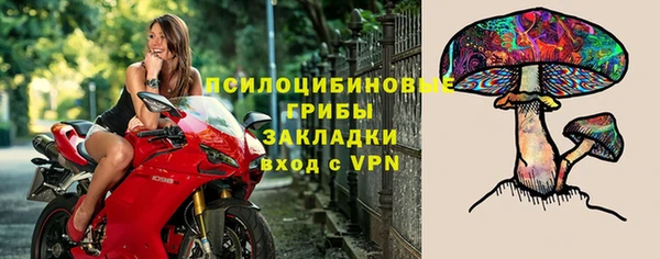 эйфоретик Алексеевка