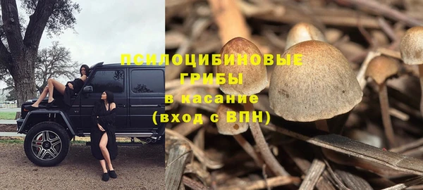 крисы Алзамай