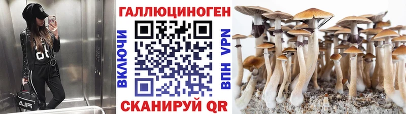 купить наркотики цена  omg ссылка  Псилоцибиновые грибы мицелий  Курчалой 